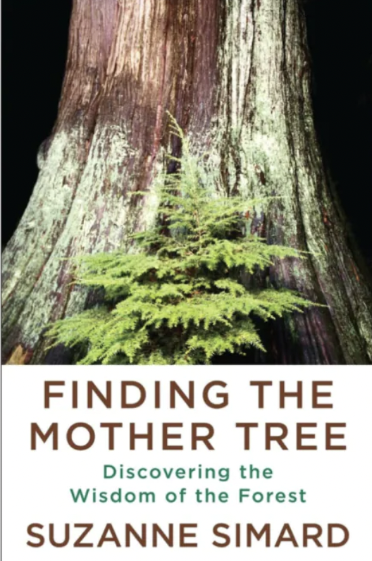book cover: Finding the Mother Tree