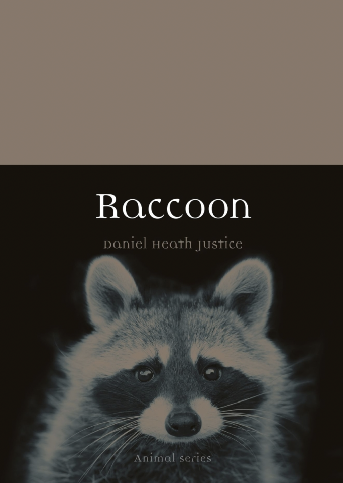 Book cover: Raccoon 