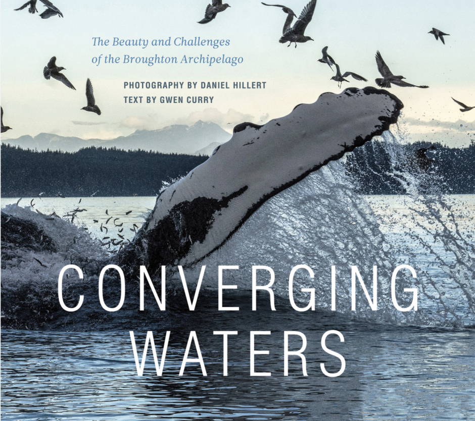 Book cover: Converging Waters
