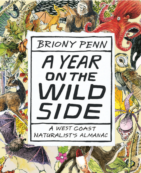 Book cover: A Year on the Wild Side